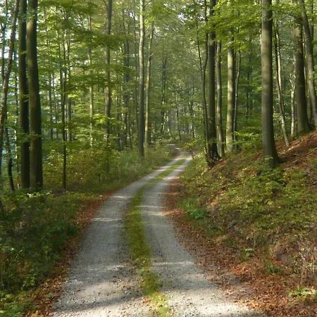 Spacious In Schwalenberg Near Forest Schieder-Schwalenberg