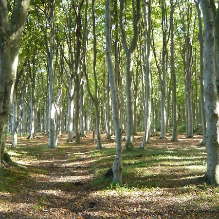 شقة Spacious In Schwalenberg Near Forest Schieder-Schwalenberg
